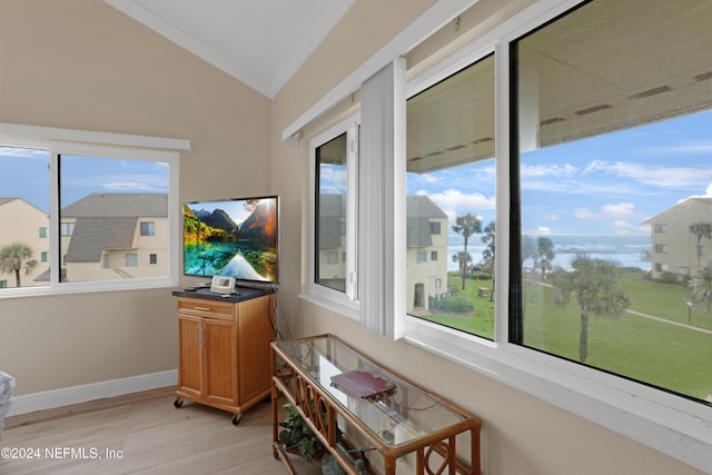 interior space featuring vaulted ceiling