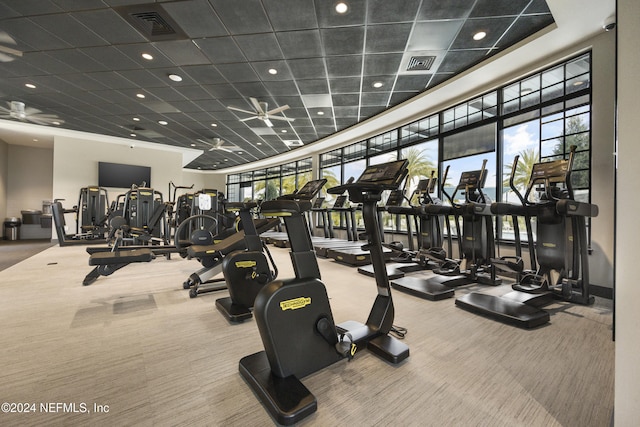 gym featuring carpet flooring, a paneled ceiling, and a healthy amount of sunlight