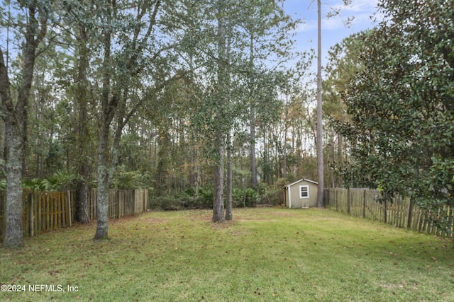 view of yard with a storage shed