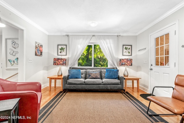 living room featuring hardwood / wood-style floors and ornamental molding