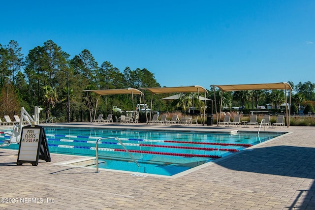 view of pool with a patio area