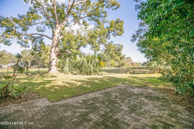 view of yard featuring a patio area