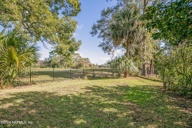 view of yard with a rural view