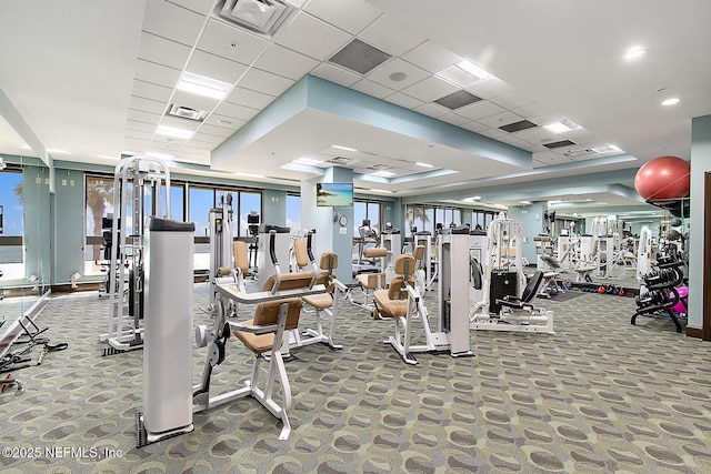 gym featuring carpet flooring and a drop ceiling