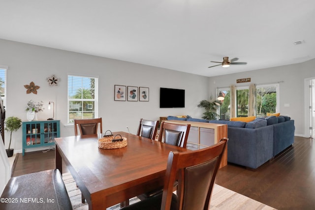 dining area with ceiling fan, a wealth of natural light, and dark wood-type flooring