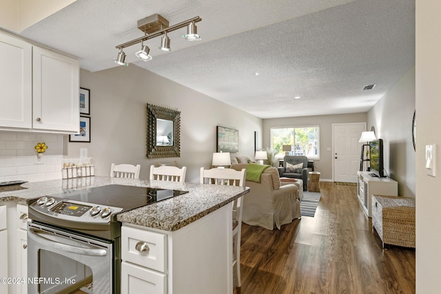 kitchen featuring stainless steel range with electric cooktop, light stone countertops, tasteful backsplash, dark hardwood / wood-style flooring, and white cabinetry