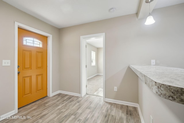 entrance foyer with wood-type flooring