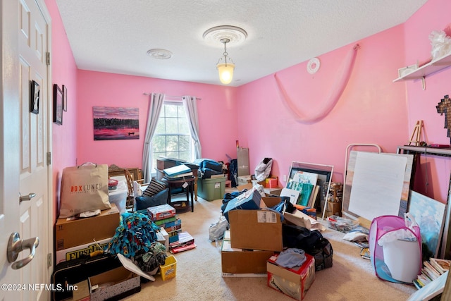 interior space with carpet flooring and a textured ceiling