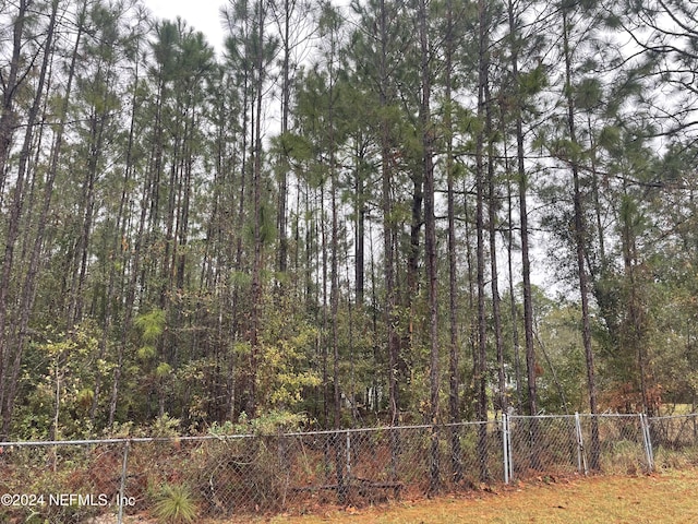 5545 Buzzie Ln, Middleburg FL, 32068 land for sale