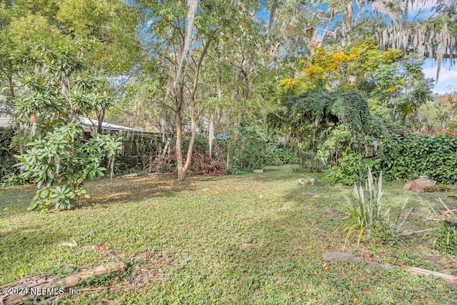 view of yard with a water view