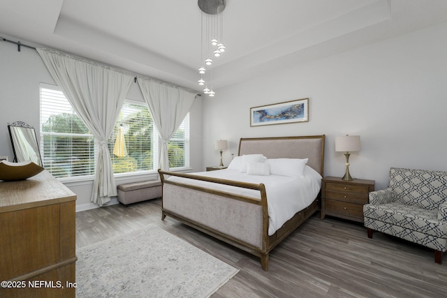 bedroom with dark hardwood / wood-style floors and a tray ceiling