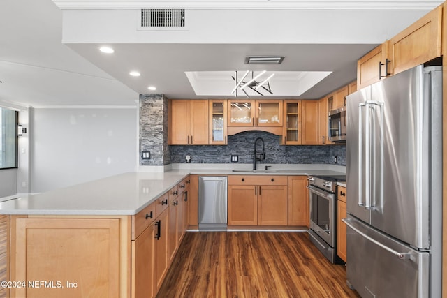 kitchen with kitchen peninsula, appliances with stainless steel finishes, a raised ceiling, dark wood-type flooring, and sink