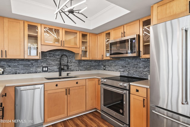 kitchen featuring backsplash, crown molding, sink, appliances with stainless steel finishes, and a tray ceiling