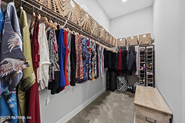 spacious closet featuring carpet