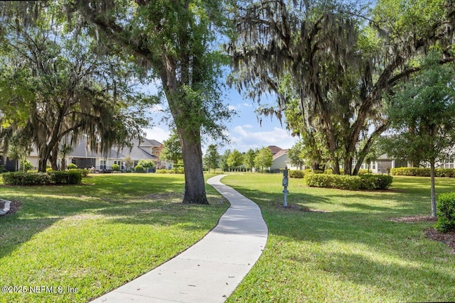 view of community with a lawn