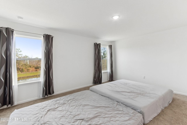 bedroom featuring multiple windows and carpet