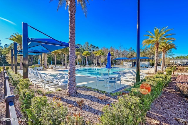 view of swimming pool featuring a patio