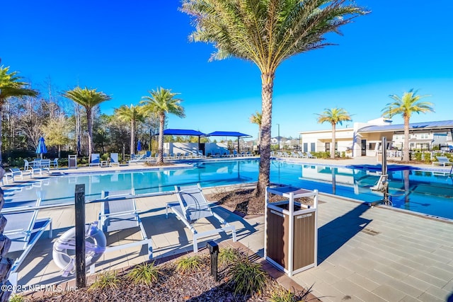 view of swimming pool featuring a patio