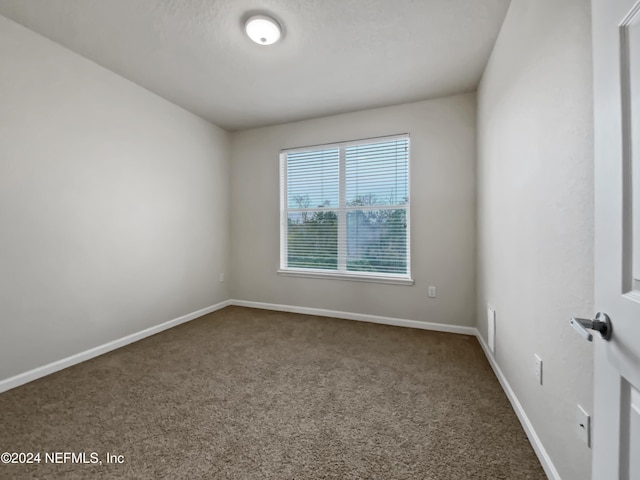 spare room with carpet floors