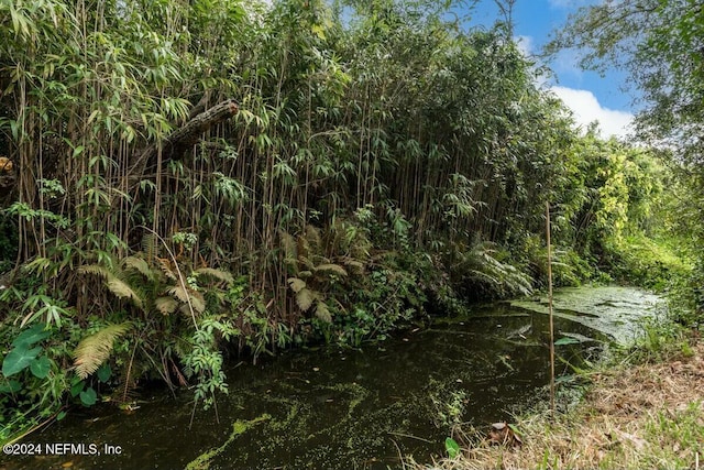 view of local wilderness featuring a water view