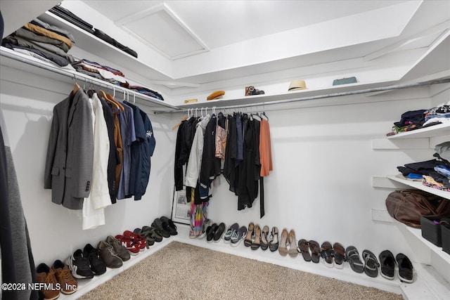 walk in closet with carpet