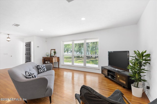 living room featuring light wood-type flooring