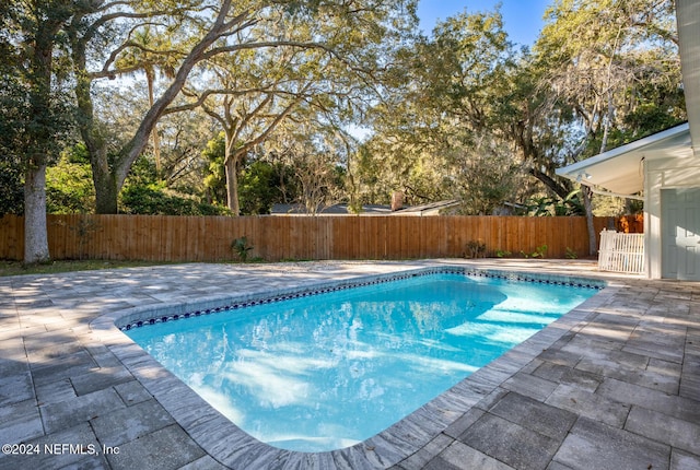 view of pool featuring a patio