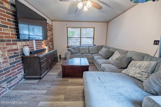 living area featuring light wood-style floors, crown molding, and a textured ceiling