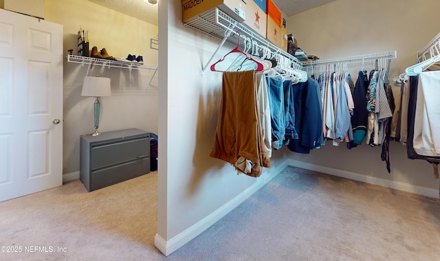 walk in closet with carpet flooring