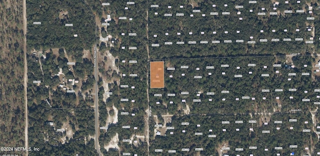 200 Mango Ln, Pomona Park FL, 32181 land for sale