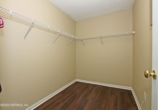 spacious closet featuring dark hardwood / wood-style flooring