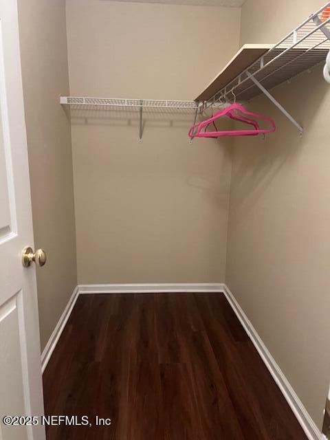 walk in closet with hardwood / wood-style floors