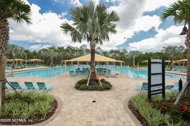 view of pool with a patio