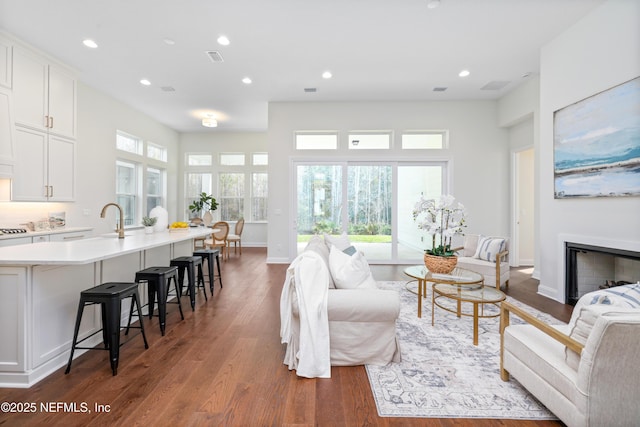 living room with dark hardwood / wood-style floors and sink