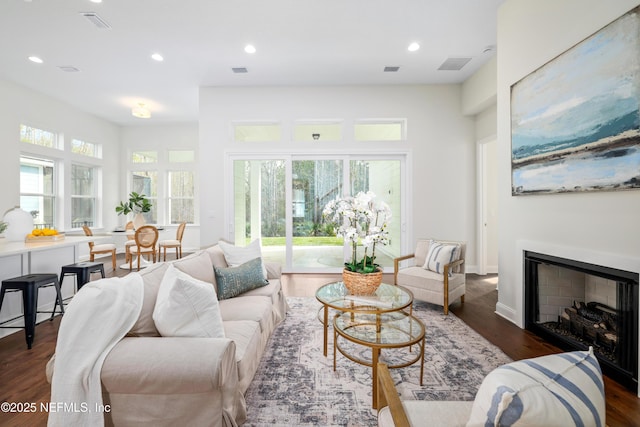 living room featuring dark wood-type flooring