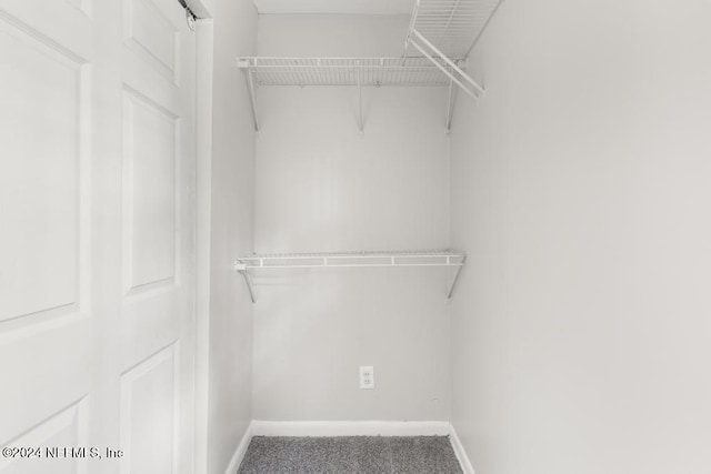 walk in closet with carpet floors