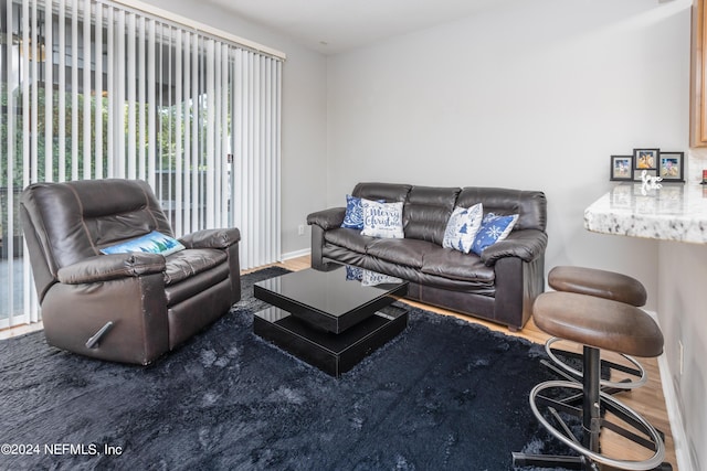 living room featuring dark hardwood / wood-style floors