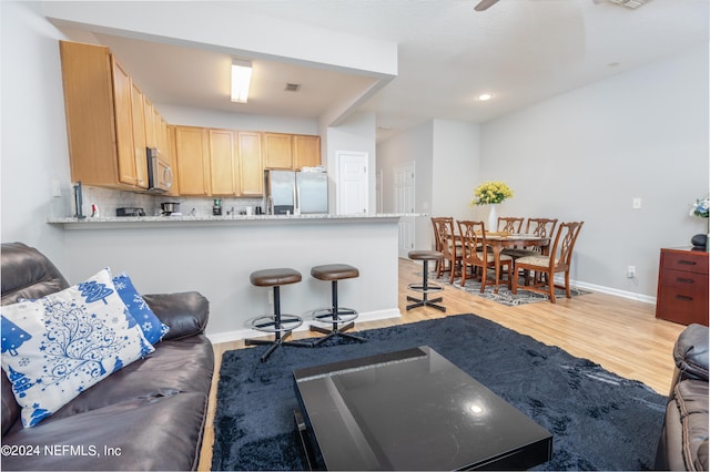 living room with light hardwood / wood-style flooring