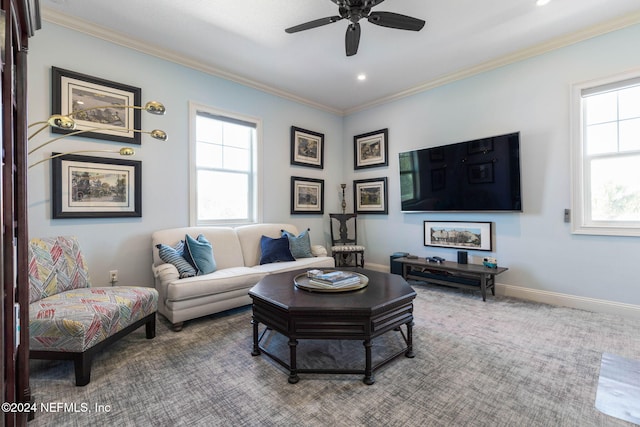 carpeted living room with ceiling fan and ornamental molding