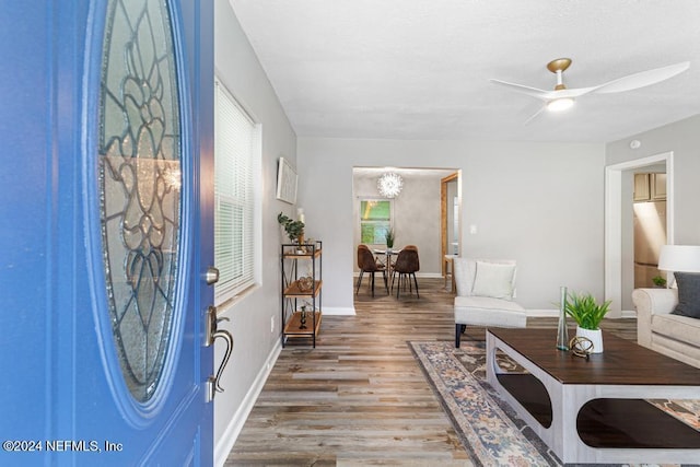 foyer entrance with hardwood / wood-style flooring and ceiling fan