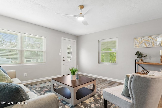 living room with a wealth of natural light, ceiling fan, and hardwood / wood-style floors