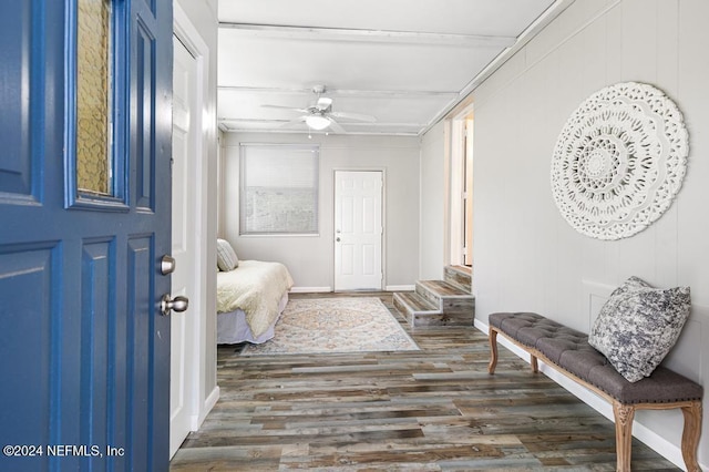 entrance foyer featuring dark hardwood / wood-style flooring, ceiling fan, and ornamental molding