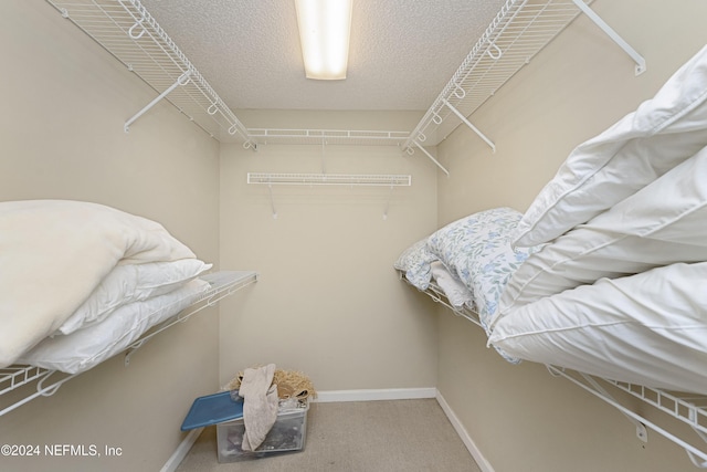 spacious closet with carpet