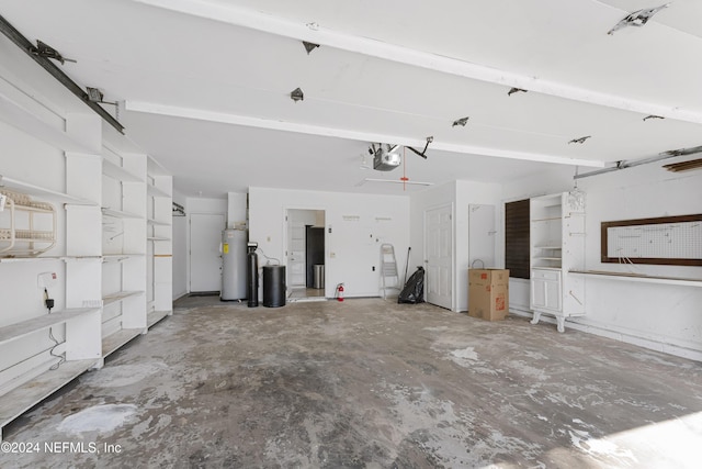 garage featuring a garage door opener and gas water heater