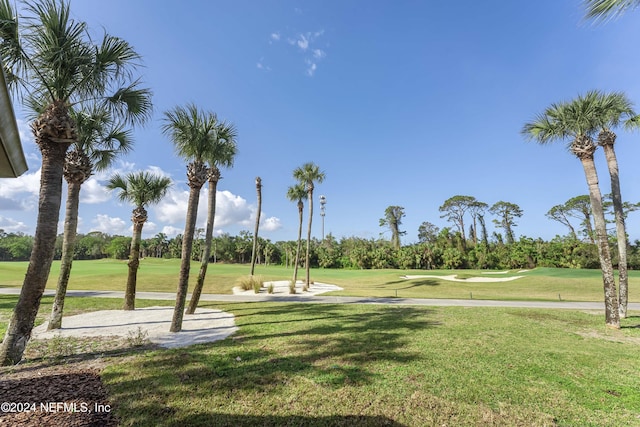 view of community with a lawn