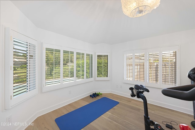 workout area with wood-type flooring