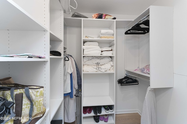 spacious closet with hardwood / wood-style floors