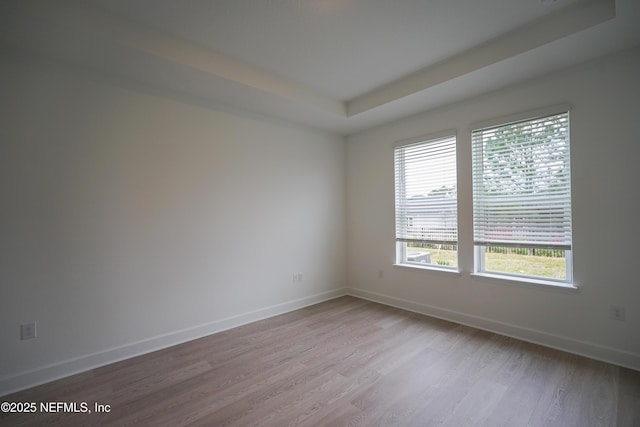 spare room with a raised ceiling and light hardwood / wood-style flooring