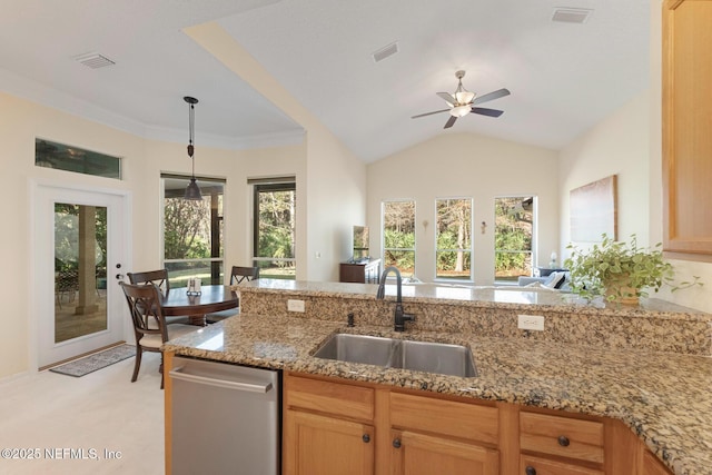 kitchen with a healthy amount of sunlight, sink, and stainless steel dishwasher