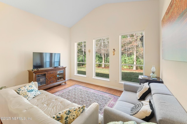 living room featuring wood-type flooring and vaulted ceiling